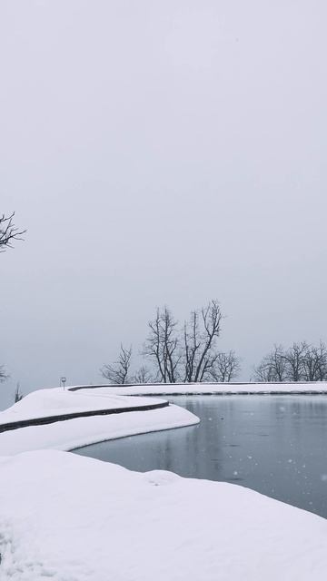 8049824-hd_1080_1920_24fps