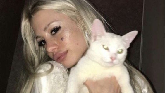 голубь ра котором какие-то жуки