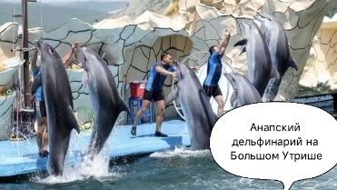 Утришский дельфинарий