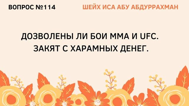 114. Дозволены ли бои ММА и UFC Закят с харамных денег  Иса Абу Абдуррахман