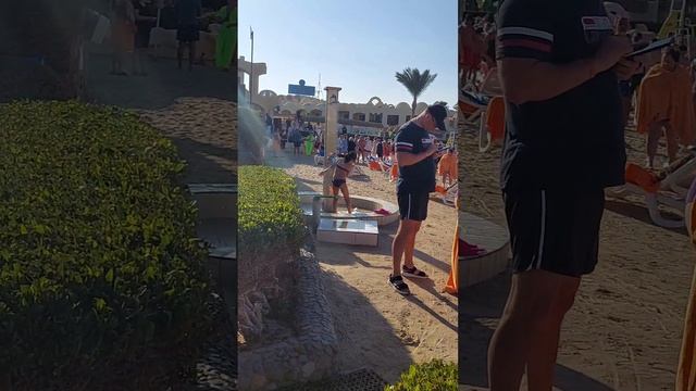 Sanny days Palma,Египед,Хургада ,январь 2025