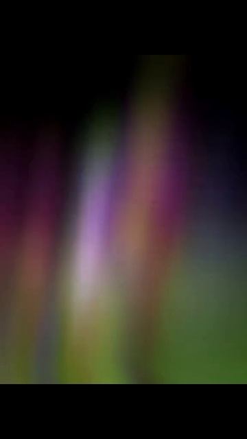 1000015711.mp4