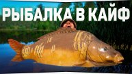 Рыбалка в кайф • Стрим по игре Русская Рыбалка 4