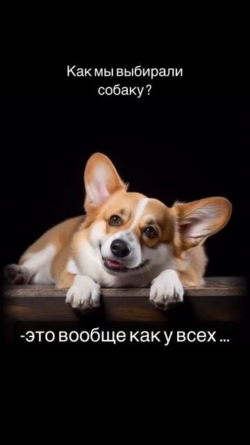 Наша булочка:)