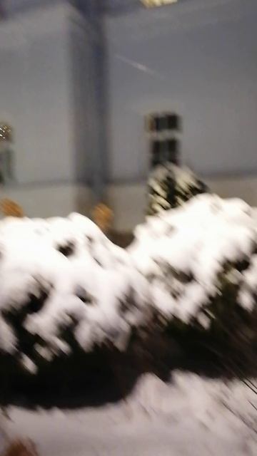 Гостиница. 05.01.2025г