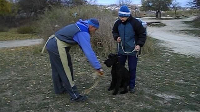 Роман-Кош Ива Баско . 9 мес. Игровой курс ИПо. Пробы 1раз