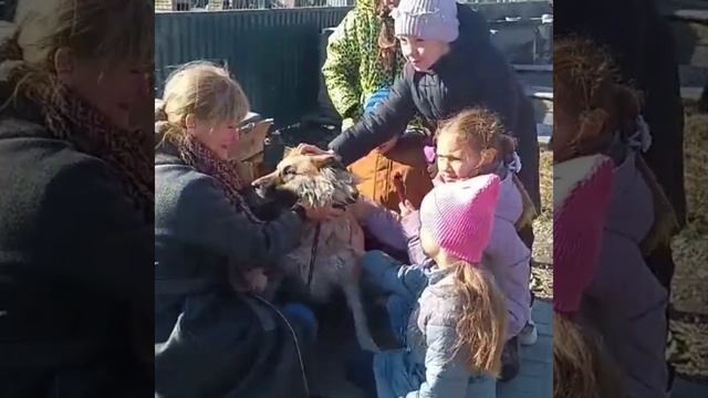 Акция "Верные друзья"