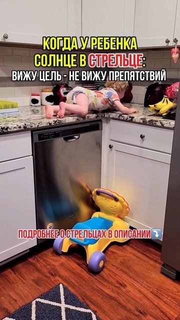 Все о СТРЕЛЬЦЕ