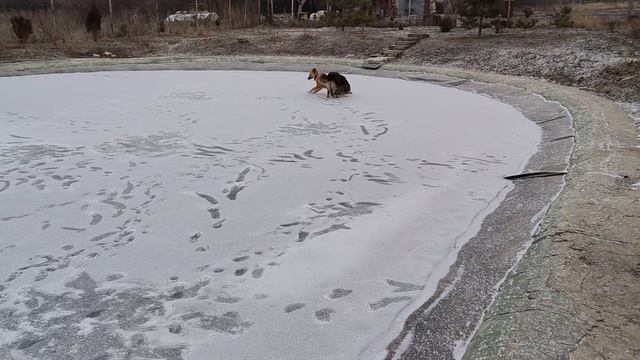 Прогулка по льду