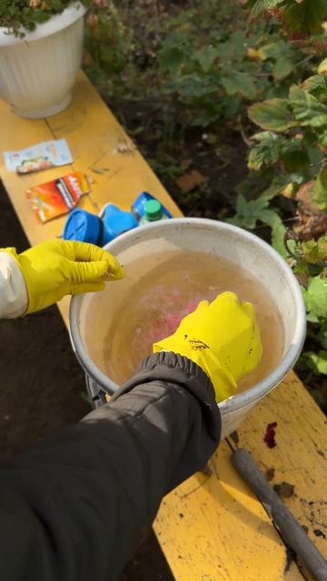 Обработка тли. Продолжение