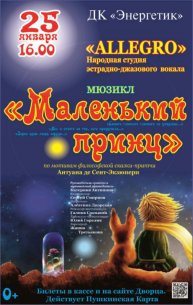 Завтра по мск времени отправлю вам видео про мюзикл маленький принц в ДК Энергетике 🤴