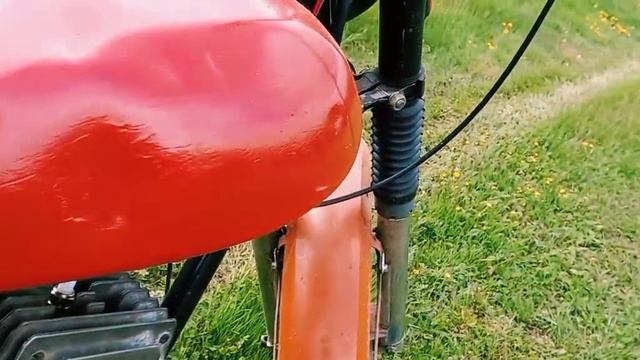 Lertis_moto Shorts video