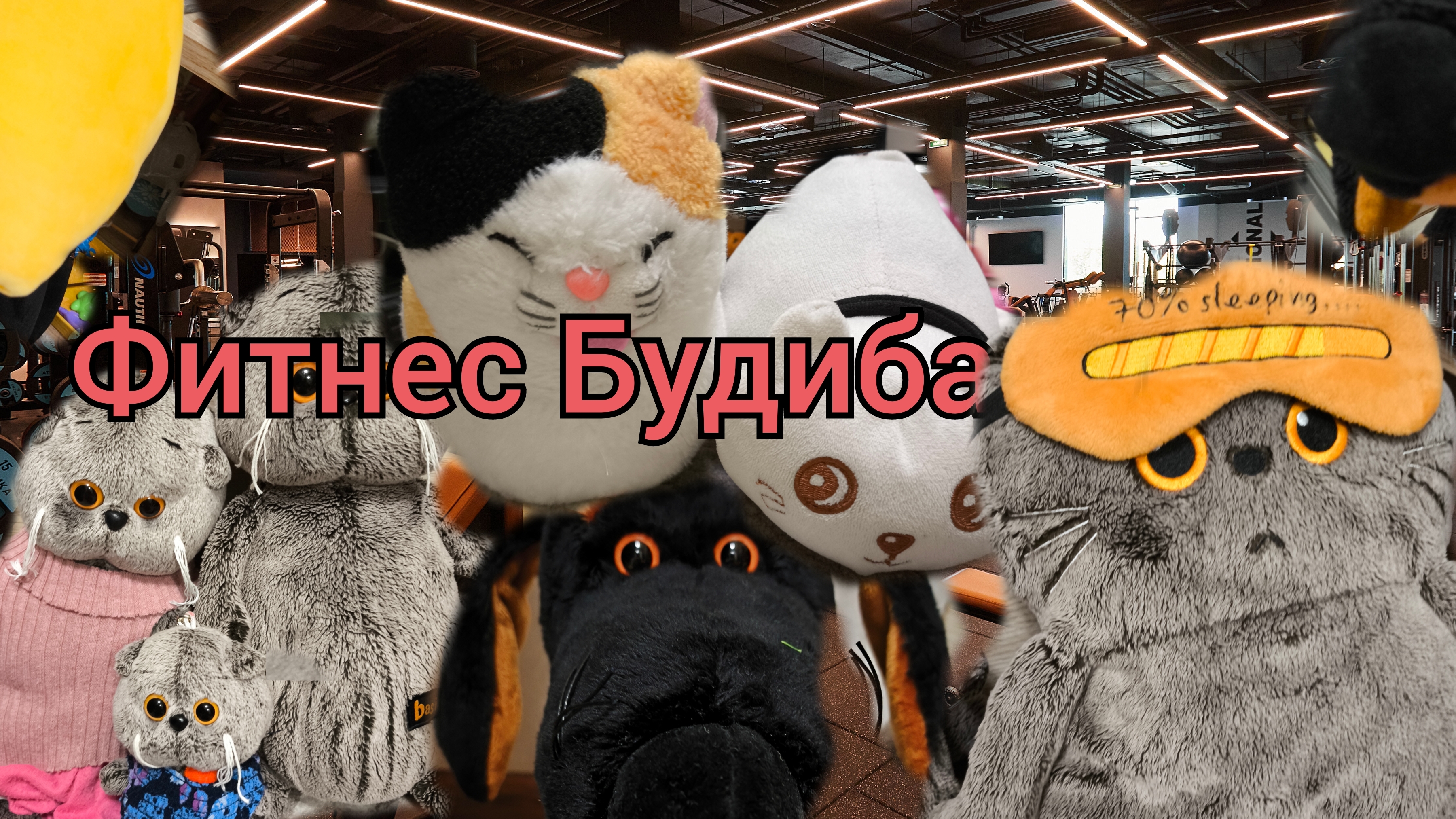 фитнес Будибасовых! Котлеткен кот в гостях