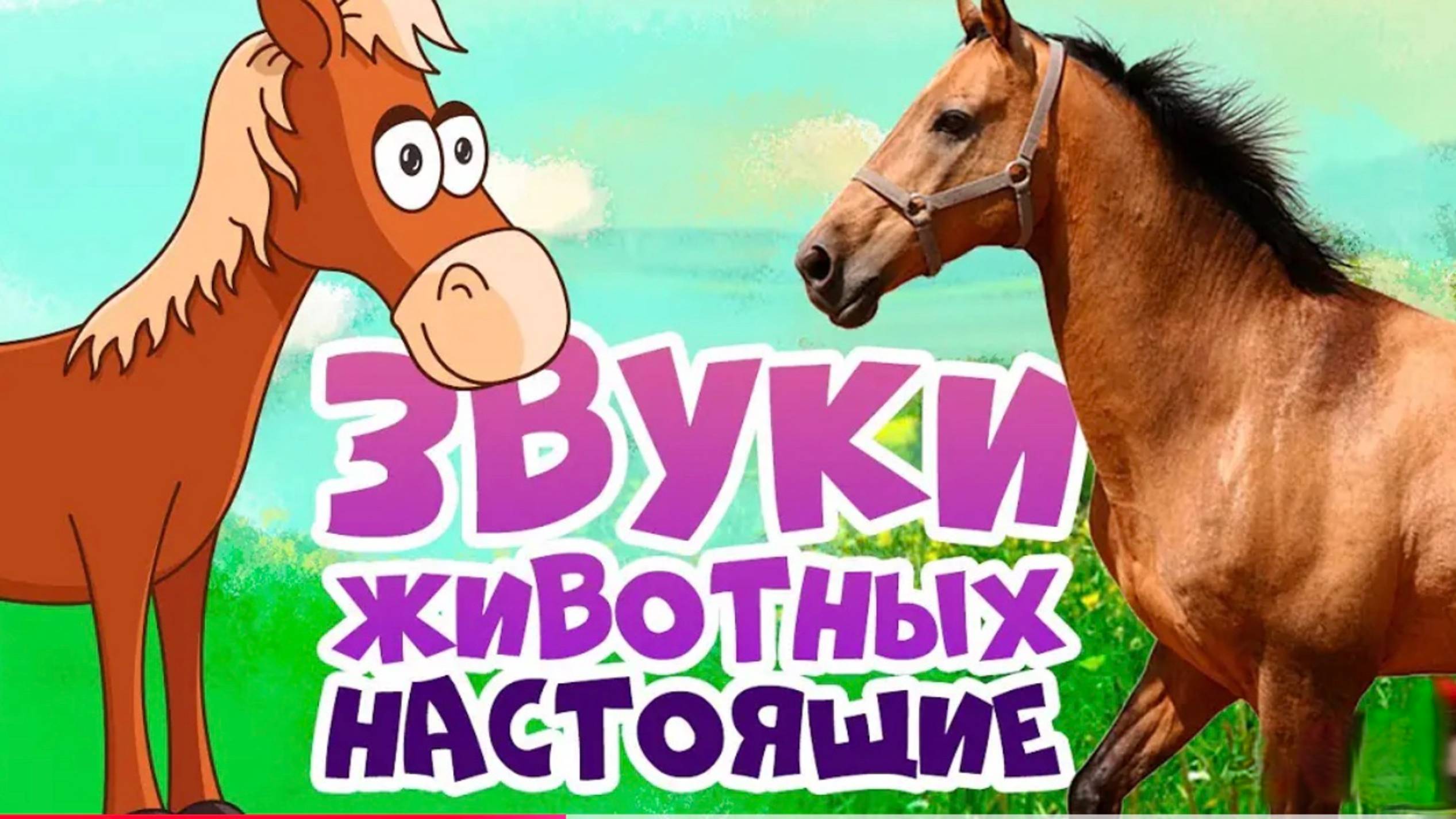 ЗВУКИ ЖИВОТНЫХ для самых маленьких - развивающие мультики для детей - как говорят животные (1)