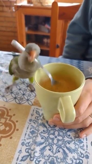 1000088525.mp4