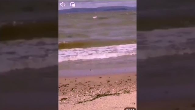 纽廷的故事 绿松石