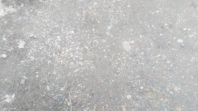 VID_20250123_113651