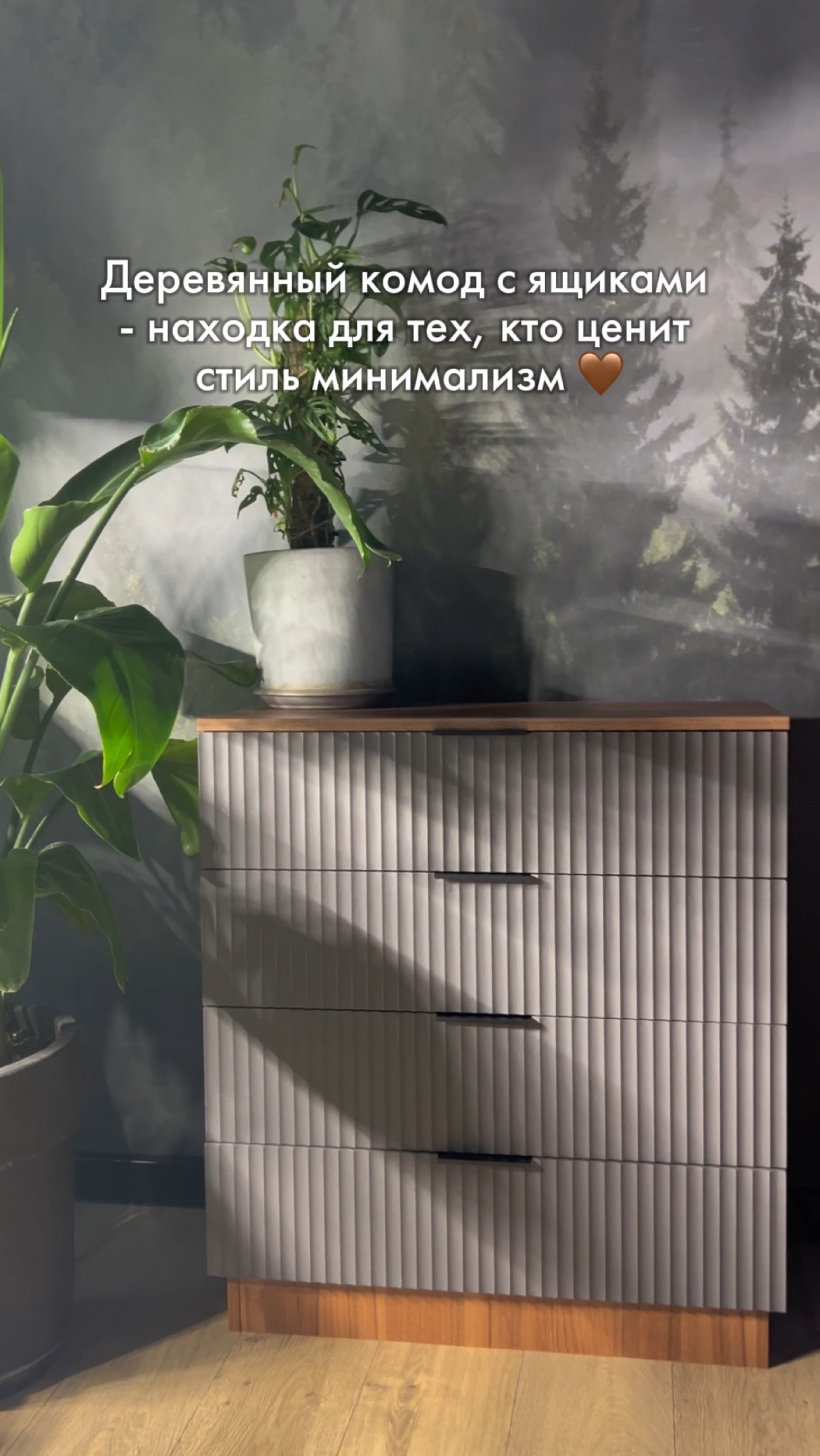 Комод в цвете орех-графит для вещей