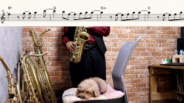 【攻殻機動隊 S.A.C. 2nd GIG】rise【楽譜あり】サックスで吹いてみた [Sheet Music] Saxophone Cover