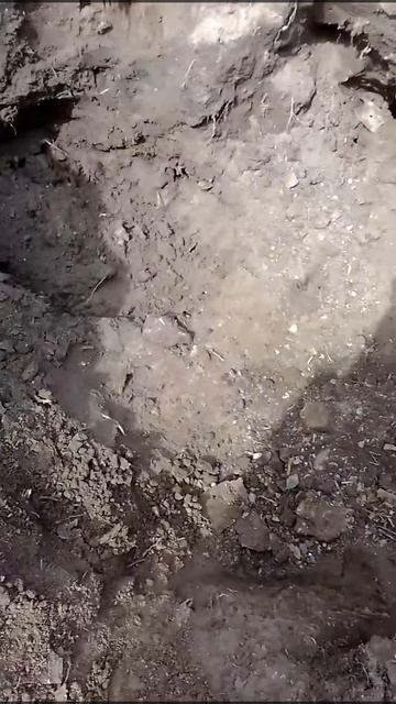 металлокоп как основной зароботок.mp4