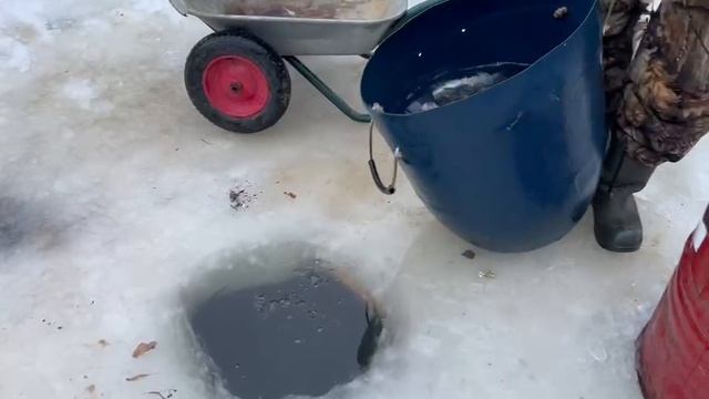 25.01.25 г. РК Волна