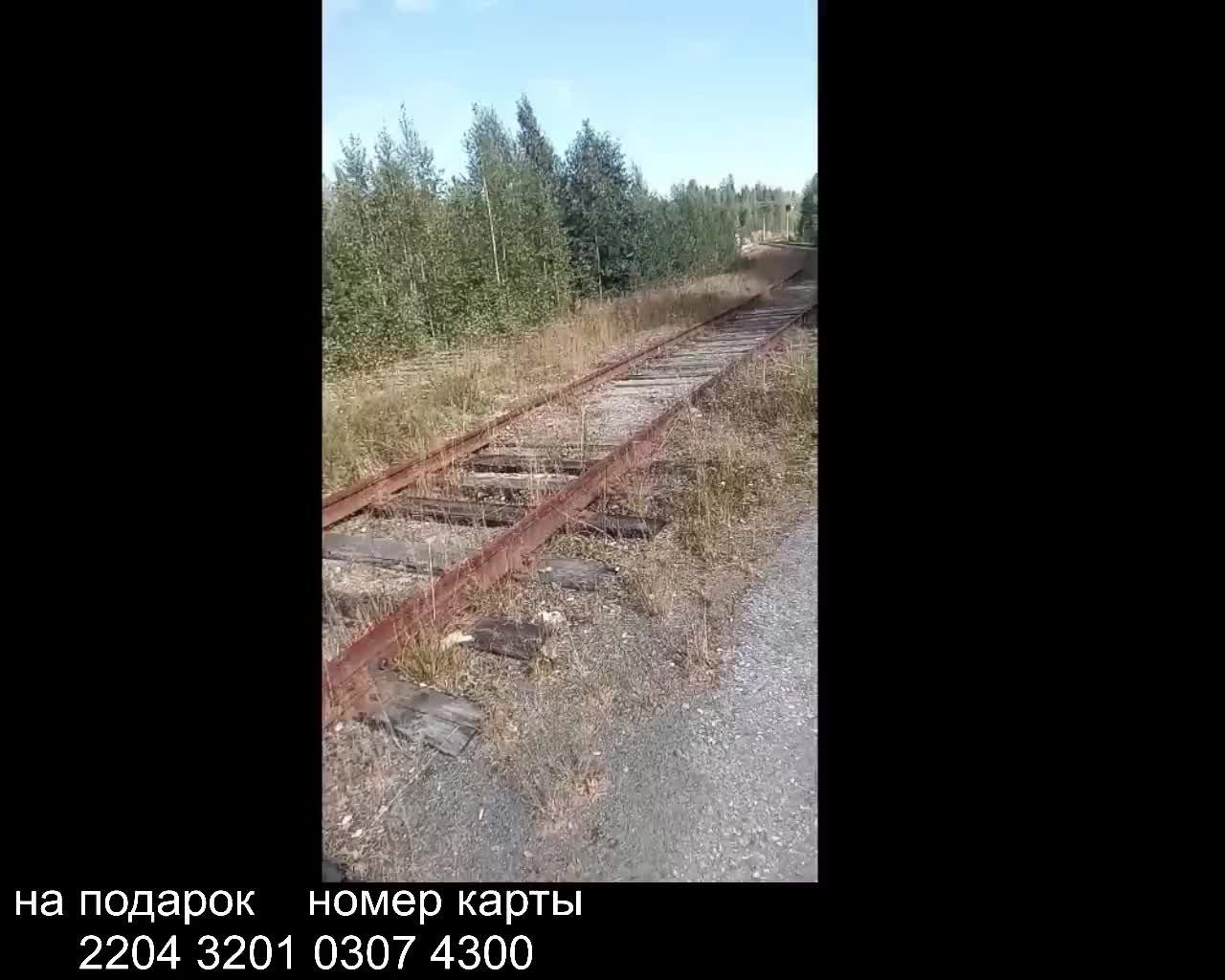заброшенная железная дорога, прогулка , тут когда ездили поезда а теперь ни кому ни чего не надо ,