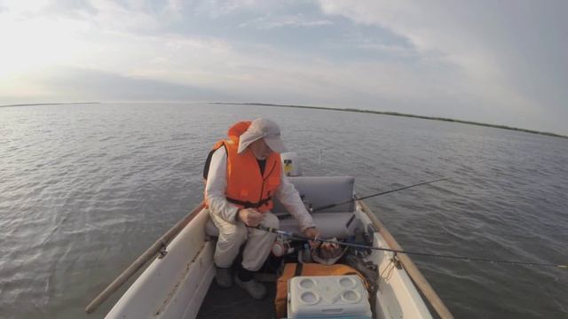 Квочим, квочим!!!!  Весёловское водохранилище. С квоком по сомику.  Маныч от Юрия Философа