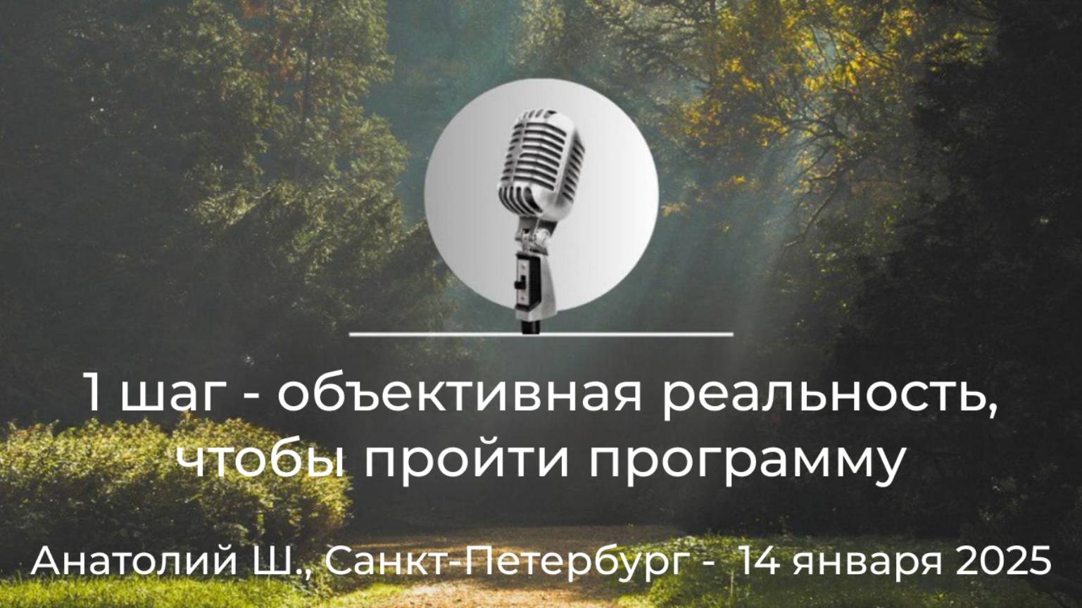 1 шаг - объективная реальность, чтобы пройти программу, Анатолий Ш., Санкт-Петербург,14 января 2025