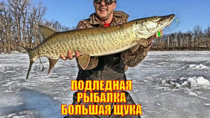 ПОДЛЕДНАЯ РЫБАЛКА БОЛЬШАЯ ЩУКА