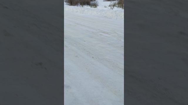Лосенок. часть 2.