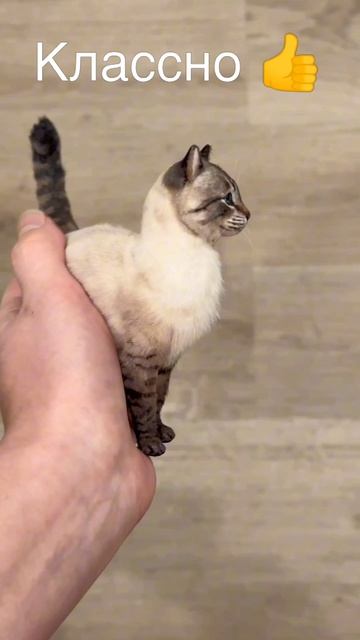 Прикольно, мне бы такое )