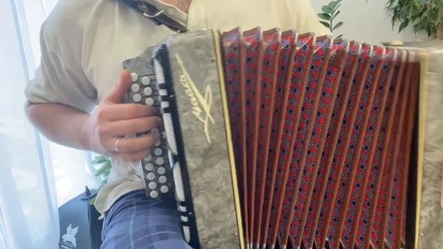 чайка 3 голоса