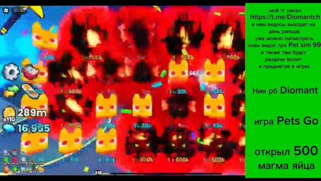 ОТКРЫЛ 500 ЯЙЦ В PETS GO🤯🤯🤯🤯