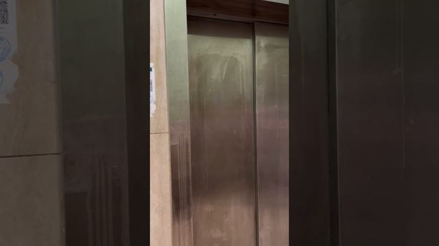 Лобановский лес 13