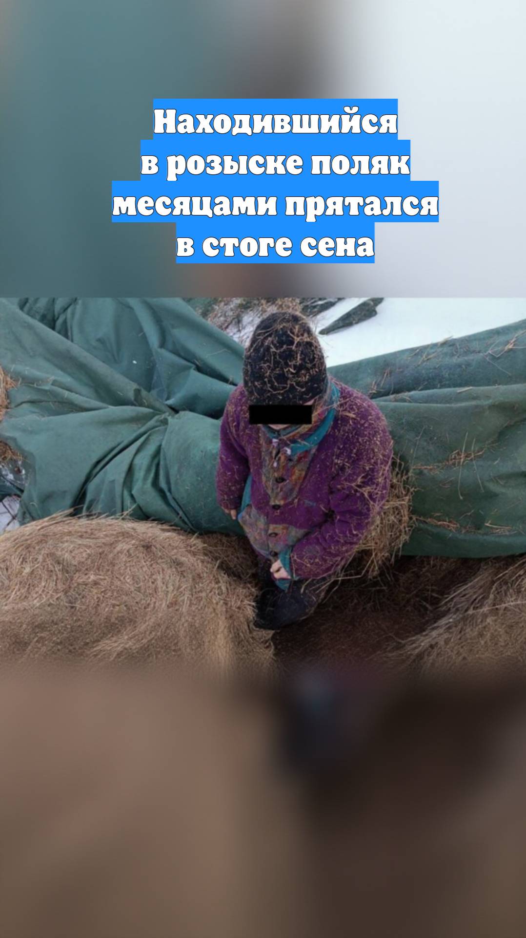 Находившийся в розыске поляк месяцами прятался в стоге сена