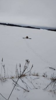 Моржевание более подробно в длином видео25. 01.25