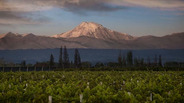 Norton Privada Malbec 2015