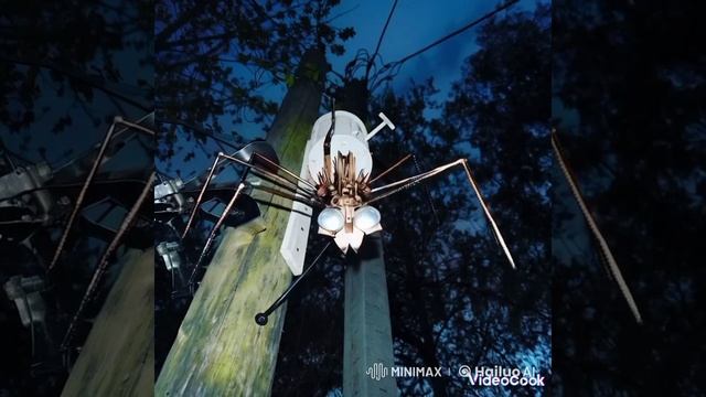 мои планы на захват планеты