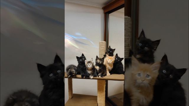 1000024317.mp4
