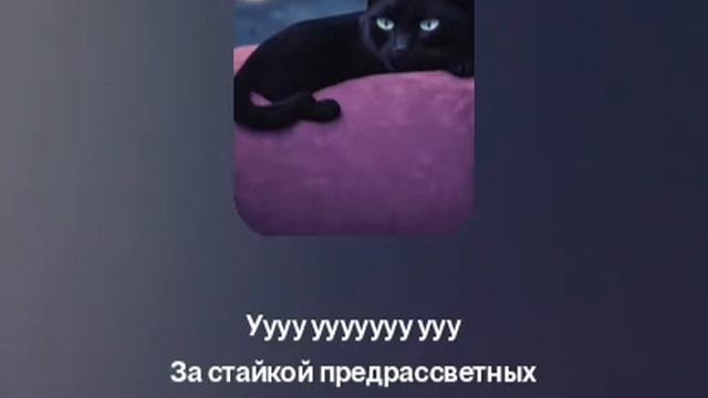ночью