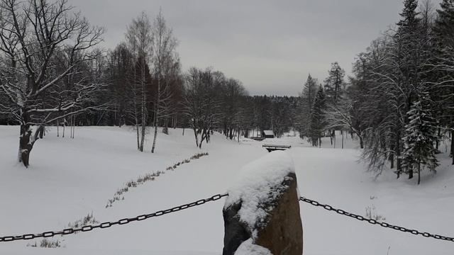 Василёво. Тверская область. Этнографический музей (24.01.2025)(1)