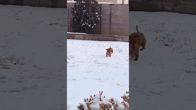 1000088523.mp4