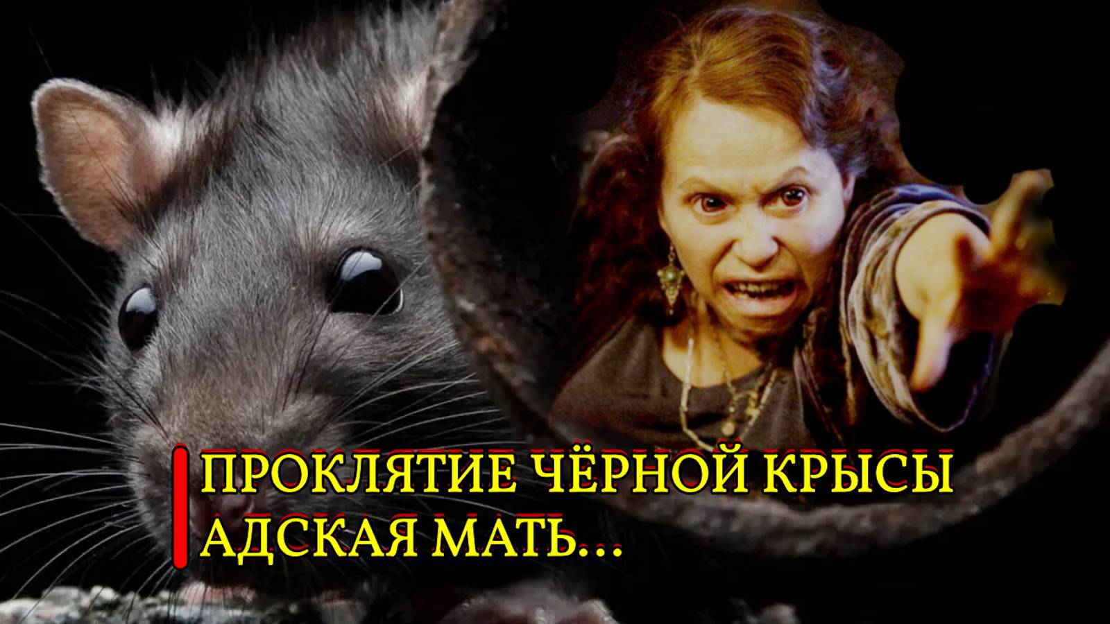 ПРОКЛЯТИЕ ЧЁРНОЙ КРЫСЫ...АДСКАЯ МАТЬ...