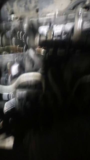VID-20250124-WA0047.mp4