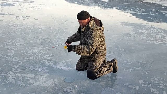 Идеальная поездка