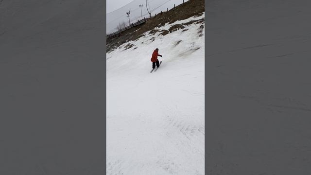 Жёсткое падение кота с радуги 20250125