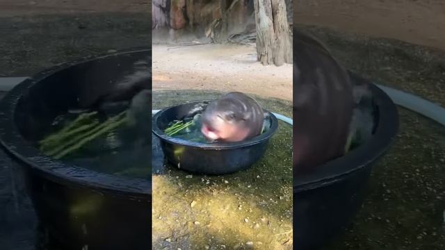 1000088562.mp4