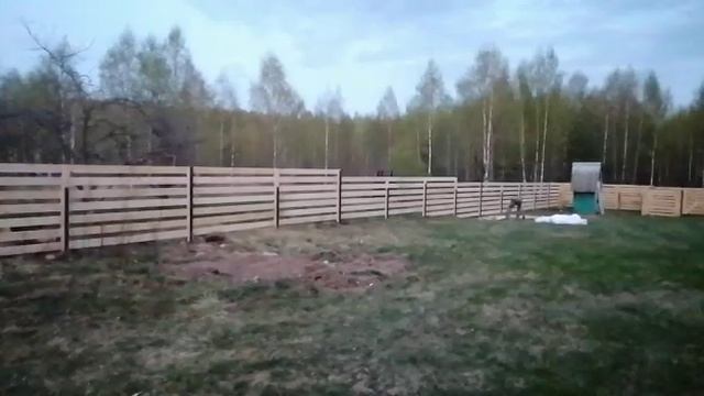 забор за один день