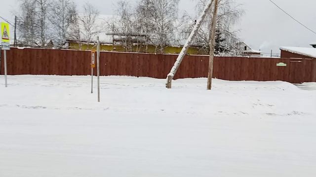 25 января 2025 год. Прогулка по Амге