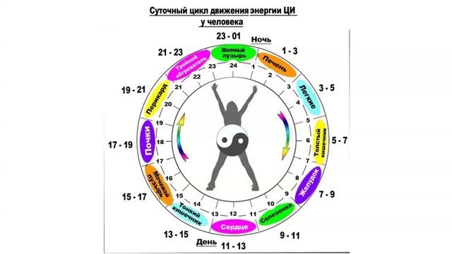 #WHIEDA , ОСНОВЫ ТРАДИЦИОННОЙ КИТАЙСКОЙ МЕДИЦИНЫ . ПИТАНИЕ ИНЬ/ ЯН  
Бартанова Елена Алексеевна